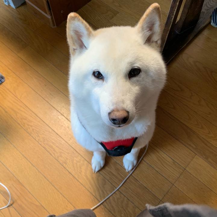 Ff64cef6 9f03 4815 9000 ed06e351f94b 1610841380544