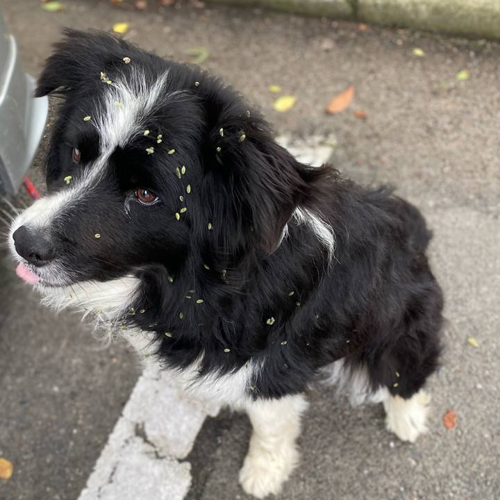 Ff64d369 cb60 40c2 b3fe f29b41d41679 1685607963498