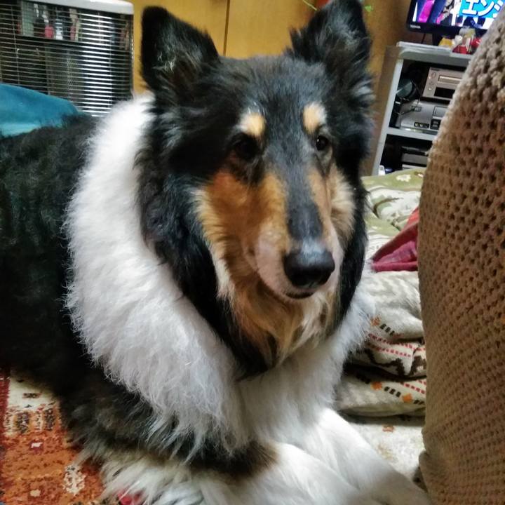 Ff64d59d 39f7 40c7 88c7 8cb839d87142 1519312079956