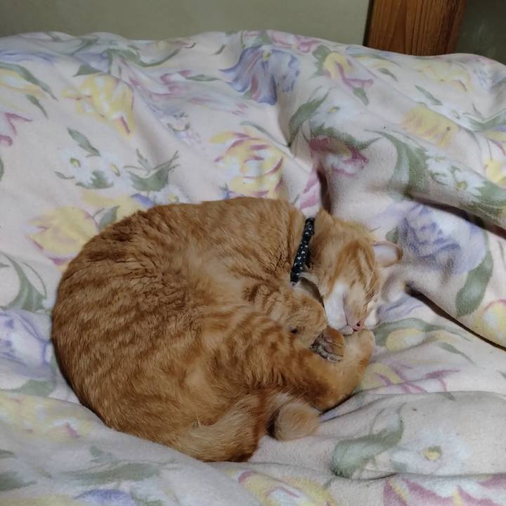 Ff64d8ea c26c 4016 a20d 6fc84d6933d9 1669120701682