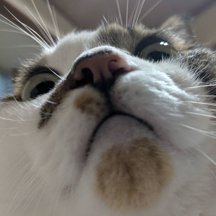 Ff64f851 40bb 4b30 b899 43923a570775 1756296586167