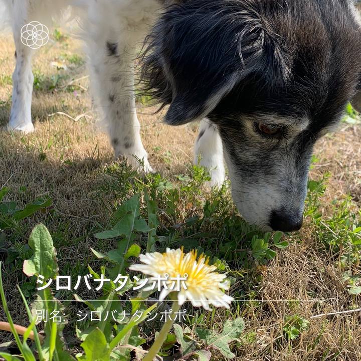 Ff6504bf c7c3 4723 9309 78836274c2e3 1615805056940