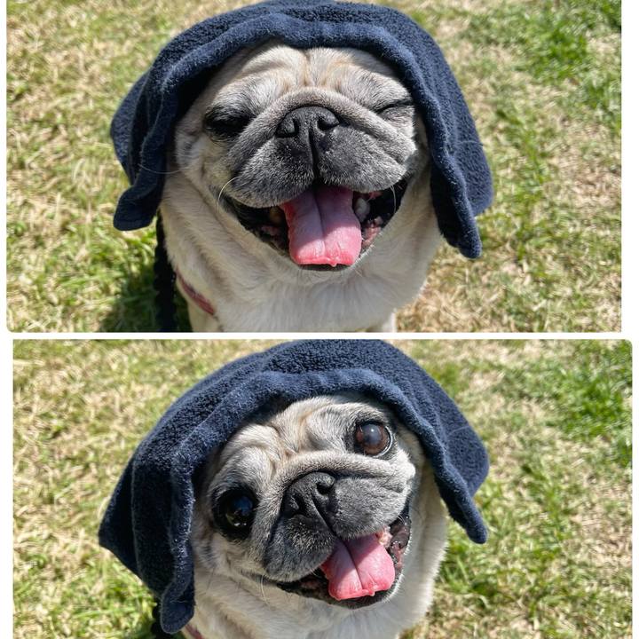 Ff6508d6 2a55 4dbf a88d 3f91402c86e8 1774309887542