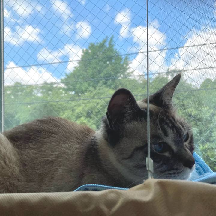 Ff652783 e716 4f8f 8584 4b54be67c04d 1621736446798