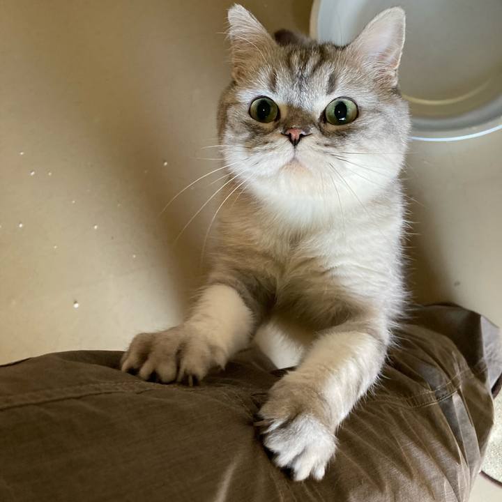 Ff65623d 5e79 4ade 9940 831755a6ae90 1612515807232