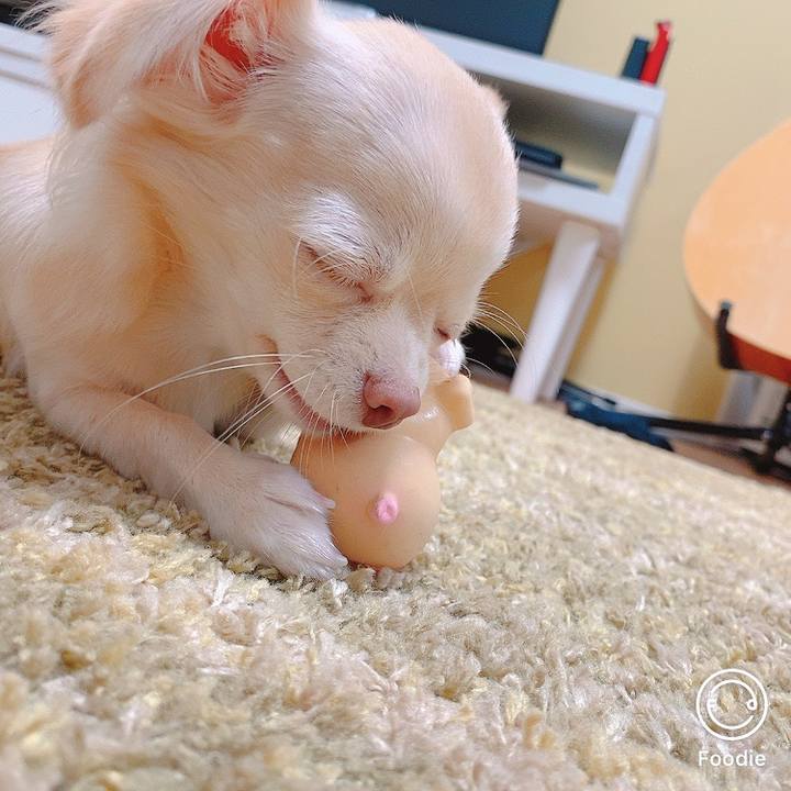 Ff658839 38b1 496a b17c 6501c96bae2a 1602904815518