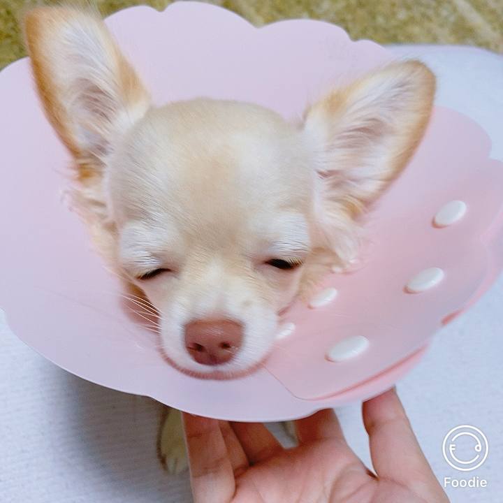 Ff65d0fb d22b 478e 8c1f b3e7bc0c4092 1598882360974