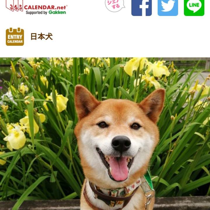 Ff65e412 5c97 42f1 9d49 797656637477 1628859061637