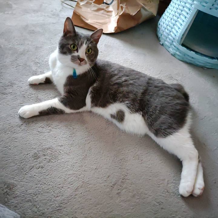 Ff66412f a95f 4b6c 831b ebe77c469342 1654908416146