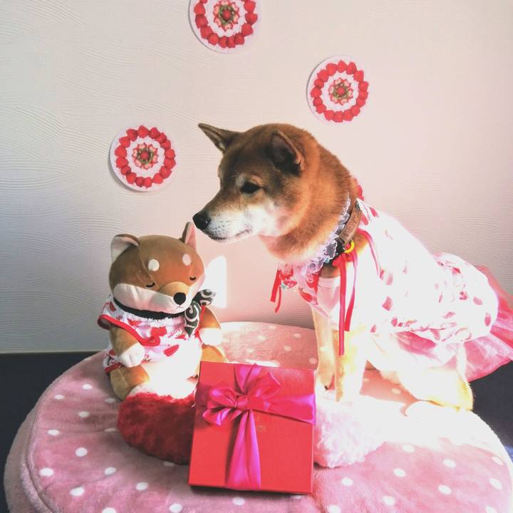 Ff6654a7 c80c 4b5a 9b35 efd8715efb3d 1581643665219