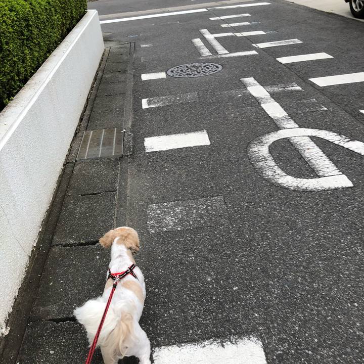 Ff665737 4a45 4a69 8da7 a1a16fbd21c9 1563659789048