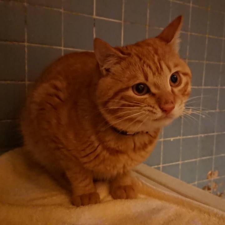 Ff666563 2747 4019 9f72 0635aa53b29c 1646129962068