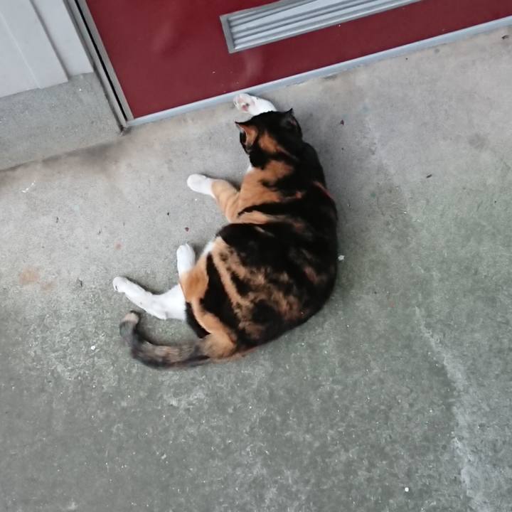 Ff668430 23e2 4d4c a05c a12a1dd26dce 1581306664964