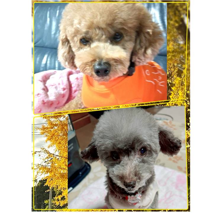 Ff66aabd c671 4e69 ac2e 9c74be0e23d3 1764318724101