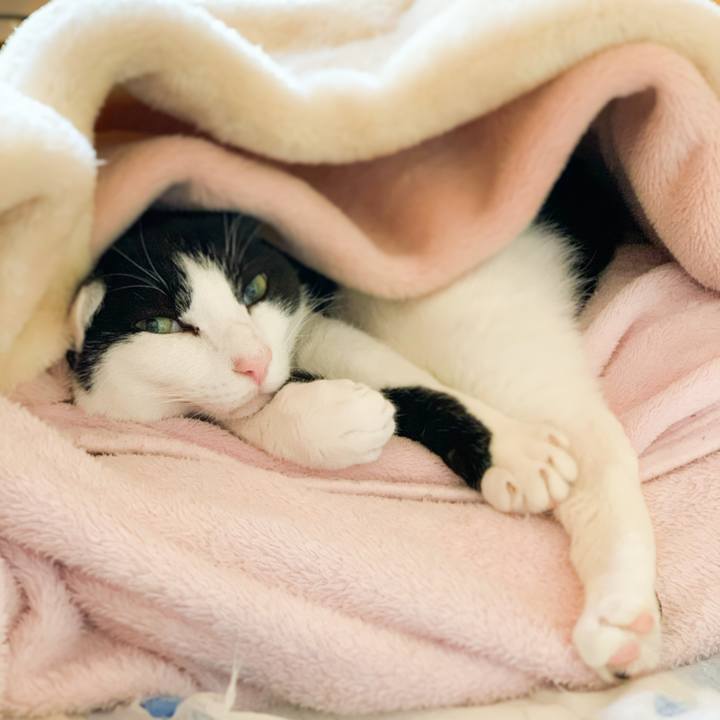 Ff66ab4a 8997 4cd7 badb 48c6bb8156cf 1577930620209