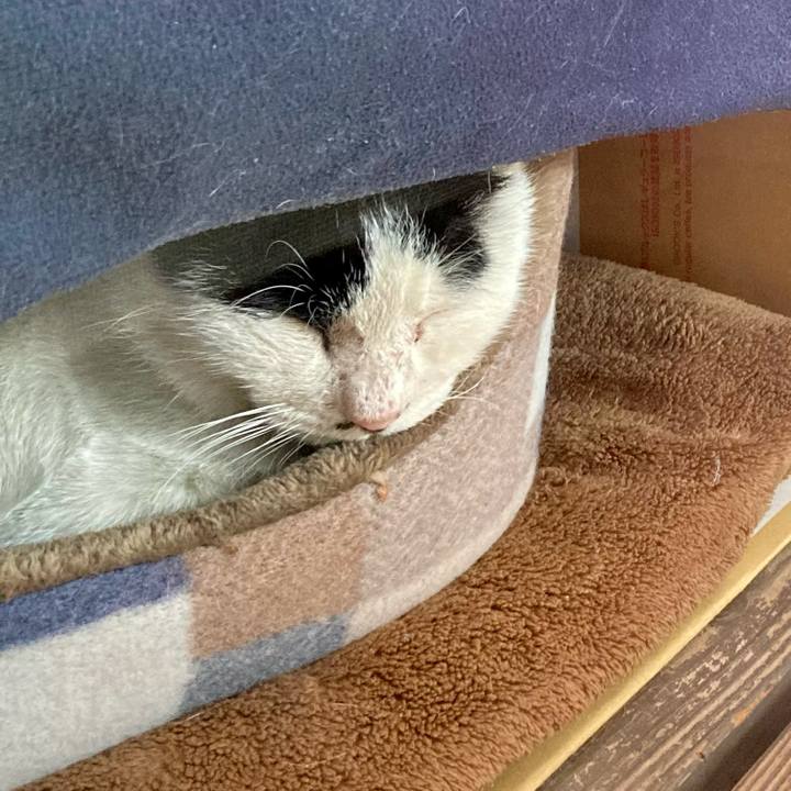 Ff66c2ac 1187 4e93 b505 bb2ea05186c0 1763445182377