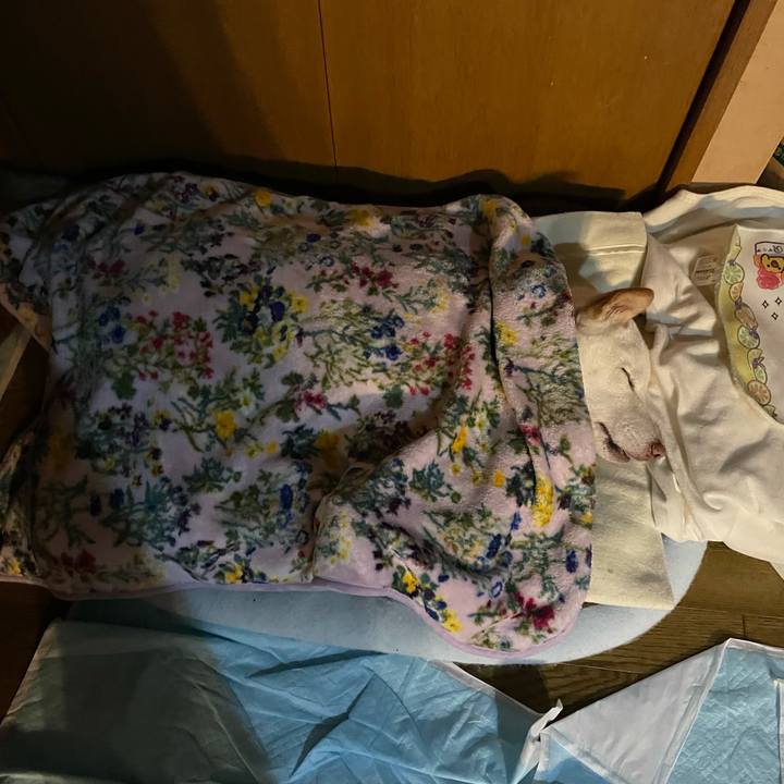 Ff66d461 a402 4209 99eb 69f89b5d112d 1635002396716