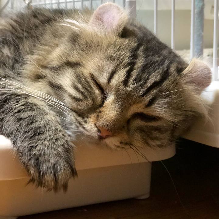 Ff66eee5 fc93 4e32 b85d 63749a39898e 1534171868092