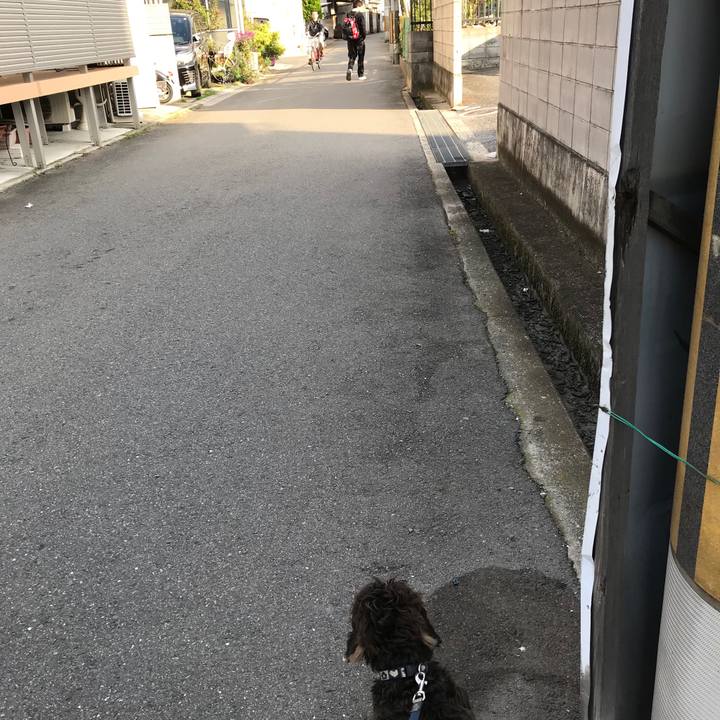 Ff66f9da 2d92 436f 8788 6a297f06dfc8 1540772625627