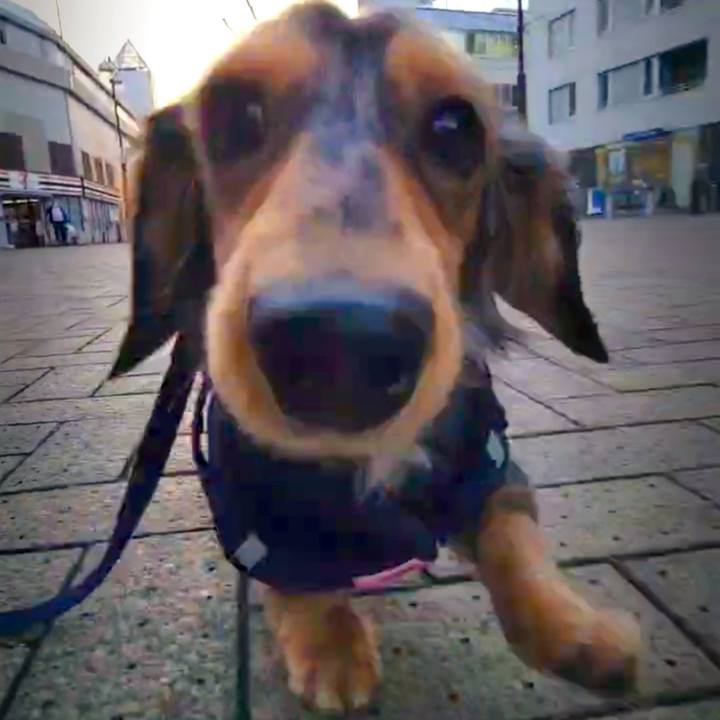 Ff670d59 64ba 46da a101 eb4c601c460a 1738627248343