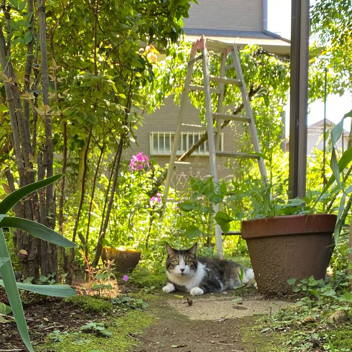 Ff6717e3 694c 4ba1 9572 1f2e3ca8c162 1626698732241