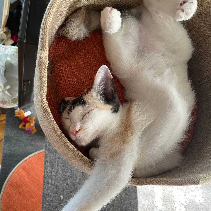 Ff672be7 275c 4a4f b265 11635a74487e 1661924226185