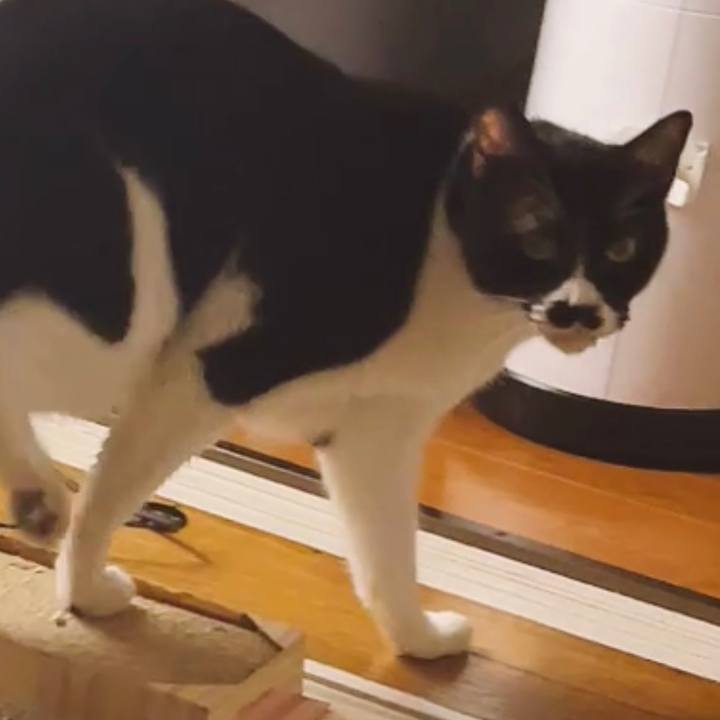 Ff67444d ed23 4fbf b02e 781f0e4d6ba3 1655952090390