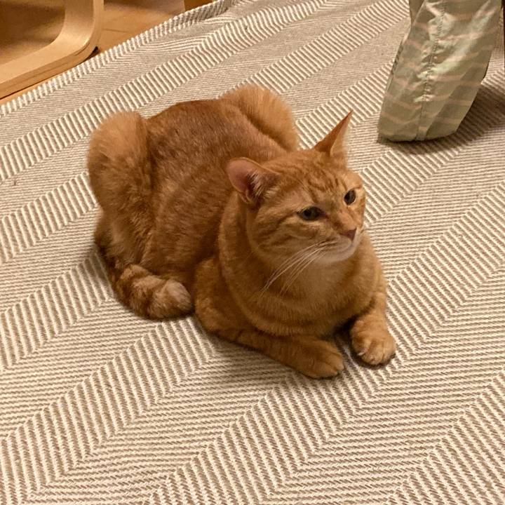 Ff6752cc e5ef 464f 996e b61fb0a0bc55 1758711737805