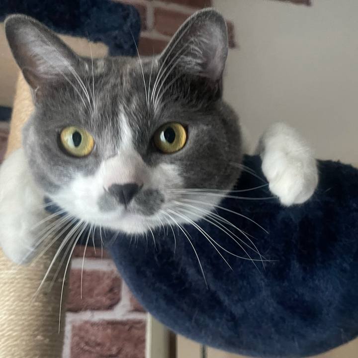 Ff677a0d a443 4d5f 86e5 96fe9c04d2ae 1631177135537