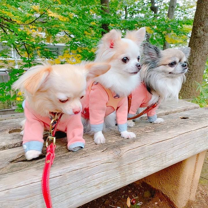 Ff6788b4 bb54 4a7c 9cbc 2eb6ac868b37 1635816116497