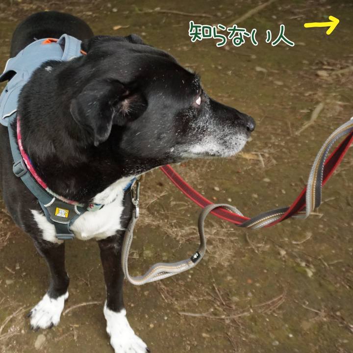 Ff678d90 d80b 4a06 816b c52d604aa628 1754957016012