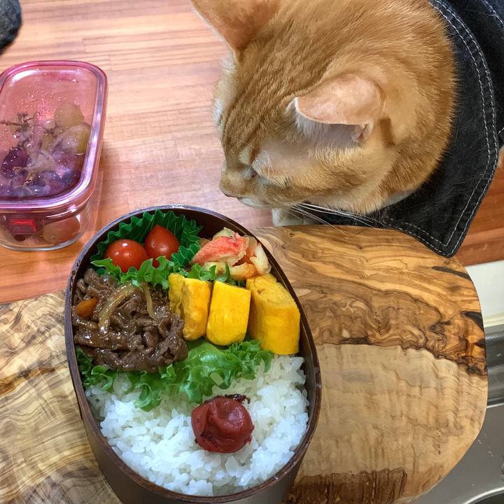 Ff679540 cb9f 426b 8711 3b11bcd1d24a 1649972824152