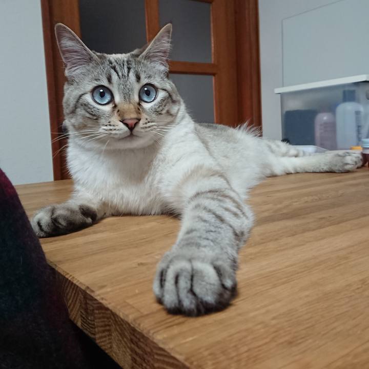 Ff67d0f7 df0b 46c1 bb57 a9ba1532c428 1526288833473