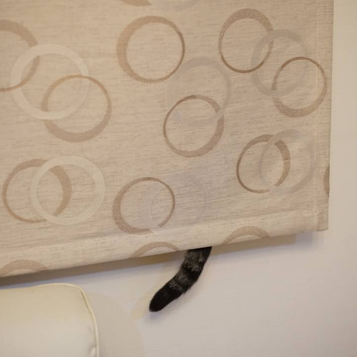 Ff67ec6b 7973 4cd3 8240 74687add8eeb 1527173265328