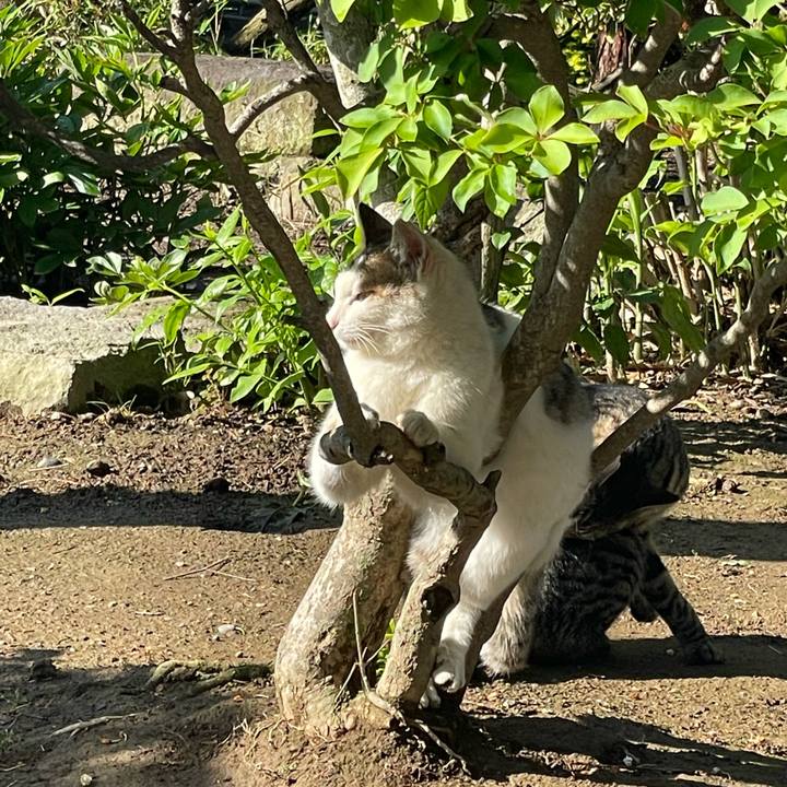 Ff68167b d25f 4364 8912 82d819eb1a27 1651444437512