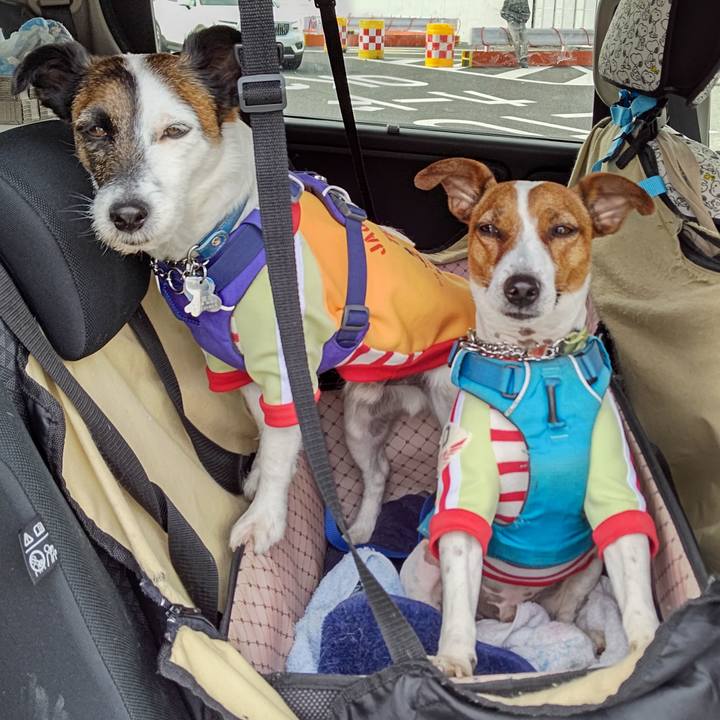 Ff681b95 7dac 4bf4 8202 82d1f1648462 1619305866106