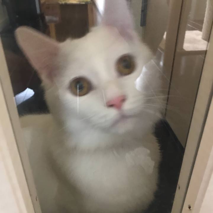 Ff68246f 6b55 447e 815b b940d06a1323 1517224791572