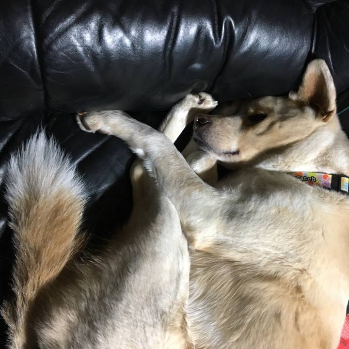 Ff68f284 4da8 4841 a86c a0741fa2535a 1515765886018