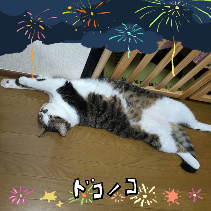 Ff693a52 0f60 4484 ab96 4157c2fbc0c5 1723419600569