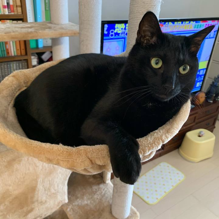 Ff694175 9f85 4db0 a467 0667b863dce2 1612920588593