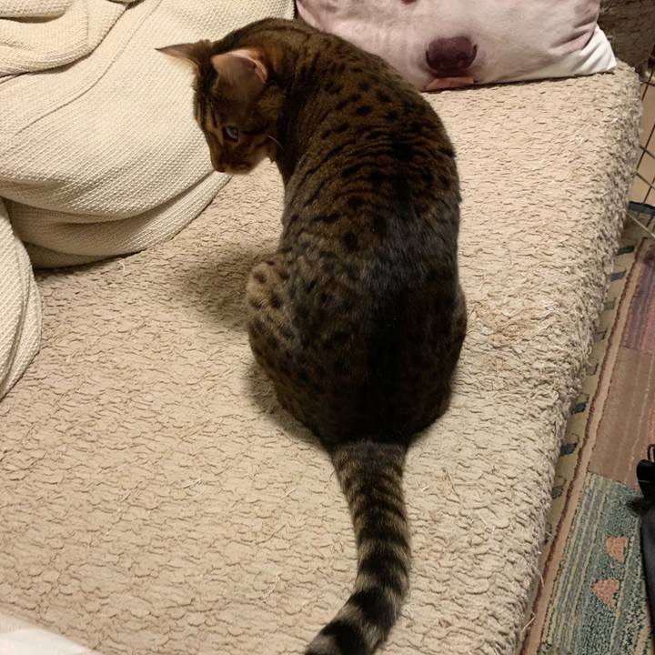 Ff69428c 6cf8 4694 8990 dc3439d77e20 1606259542958