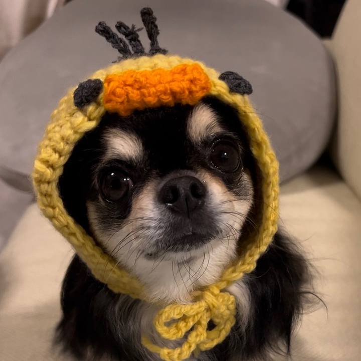 Ff6942c0 c319 42c8 8eb3 ab5f51d98cdc 1668332657132