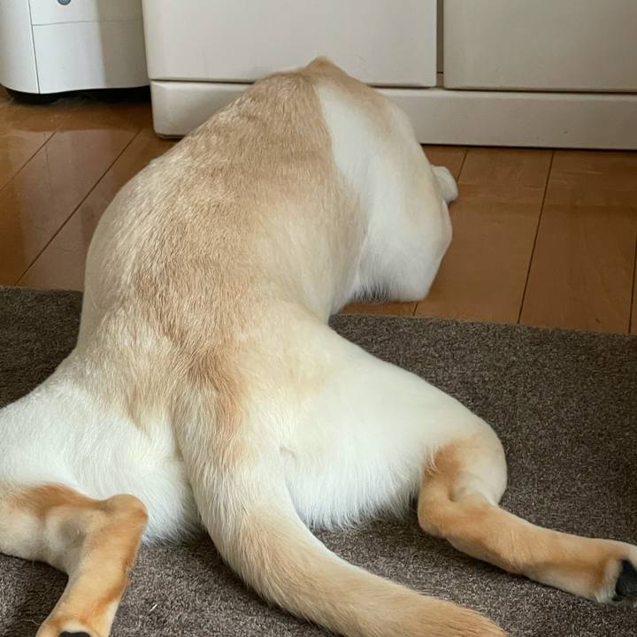 Ff694cfa 1bbe 47cd 8f1a e10de2527103 1623541827135