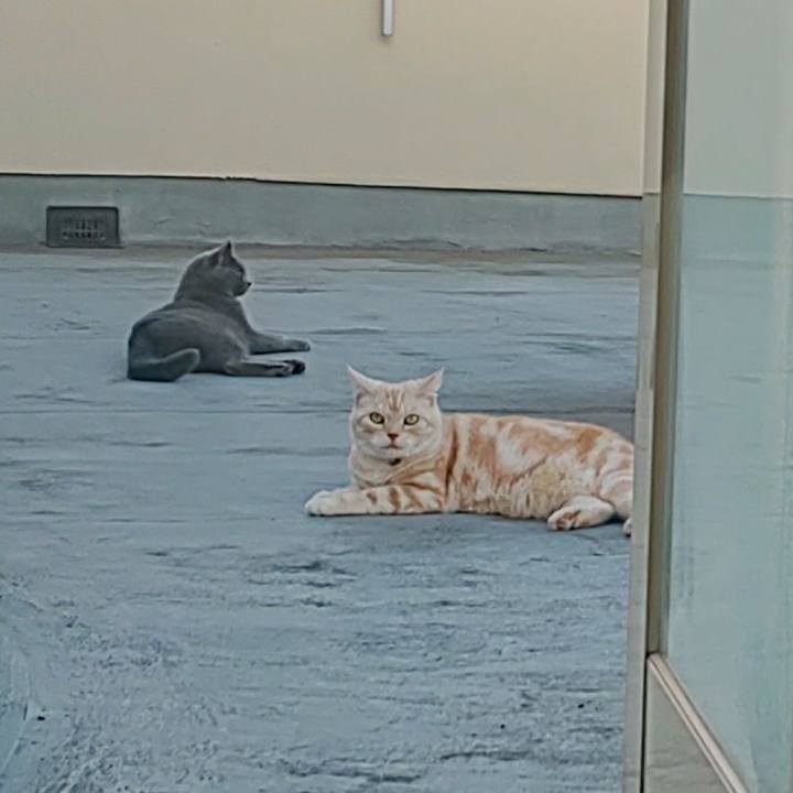 Ff69b58a b375 435f ada5 63ea0c80e5cb 1569398043468