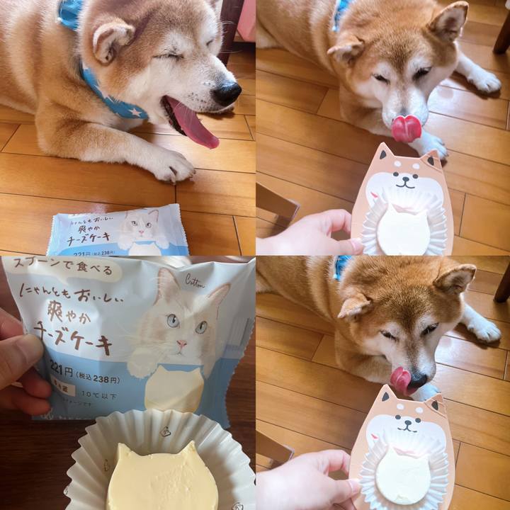 Ff69f3ce 596b 451e bffc b79e4bf2c9e1 1691547800128