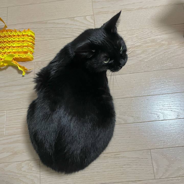 Ff69f489 f54c 4c0b 8f8e 598d5ff18ebf 1668603249504