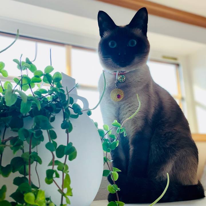 Ff69fc04 1c55 4880 b3f0 863e5991f399 1746478676087