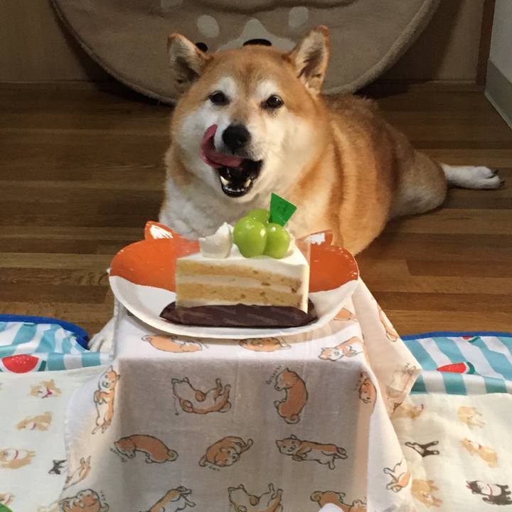 Ff6a0659 7dff 4465 8bd8 95cd3b2c5211 1631062605177