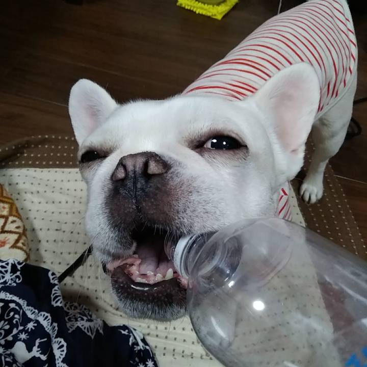 Ff6a1118 d074 4658 baf1 4874286189bb 1585406226935