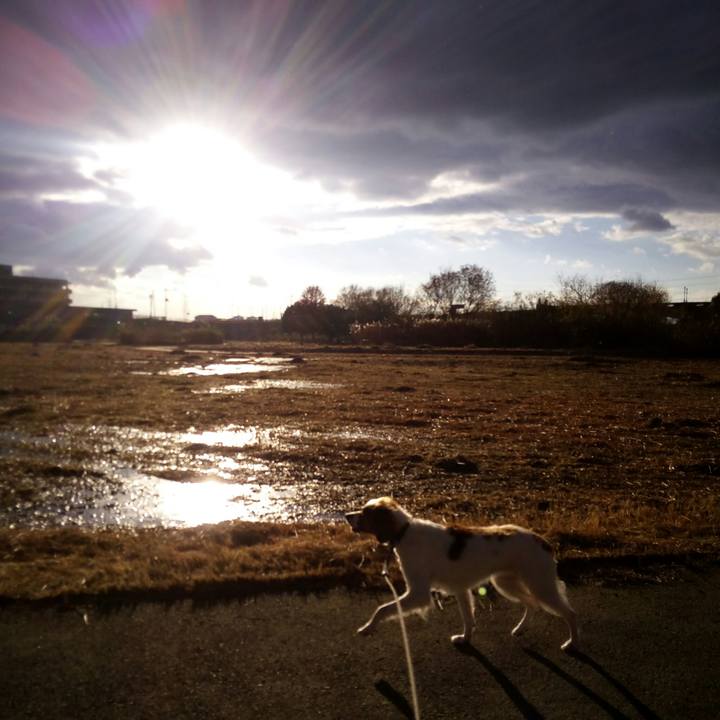 Ff6a16b4 9b7e 4ee7 922d 1da95e89c11d 1514189605835